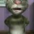 Talking Tom Garmi Song