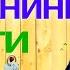 АБДУЛАЗИЗ ДОМЛА БАРАКАНИНГ КАЛИТИНИ ТОПИНГ долзарб эслатма ибрат абдулазиздомла