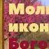 Молитвы пред иконой Феодоровская о здравии при желании иметь детей о создании семьи о защите