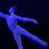 Paul Marque Swan Lake Man Variation By Rudolf Nureyev