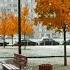 FIRST SNOW In St Petersburg Russia 2nd Of November 2024