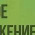 Формы размножения организмов Бесполое размножение