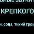 НОЧНЫЕ ЗВУКИ ДЛЯ КРЕПКОГО СПОКОЙНОГО СНА НА всю ночь Сверчки сова гром вдали перед дождем