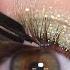 Secret Cappuccino Light Brown Lashes DIY Lash Extensions Effect Dark Swan Of Denmark