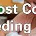 Breastfeeding Tips Common Breastfeeding Positions