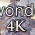 11 HOURS 4K Winter Wonderland 2 Ambient 4K Nature Relaxation Film Soothing Hang Drum Music