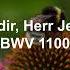 J S Bach Allein Zu Dir Herr Jesu Christ BWV 1100