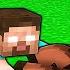 FAKİR HEROBRİNE MEZARINA GİRDİ Minecraft