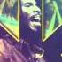 Ziggy Marley Black Cat Live HD