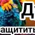 Дуа Утром Благодарность Аллаху ОЧЕНЬ МНОГО ПОЛЬЗЫ СЛУШАЙТЕ ЭТО ДУА УТРОМ Wahid TV 4 5 1 1