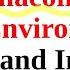 Create Virtual Conda Anaconda Python Environments In Linux And Install Manage Packages