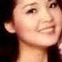 Goodbye My Love Teresa Teng W English Translation Of Chinese Lyrics