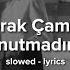 Yaprak Çamlıca Unutmadım Slowed Lyrics Unutmadım Nasıl Unutur Kalbim