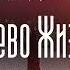 Аудиокнига Фантастика Кузьменко Владимир Древо Жизни Книга 1 часть 6