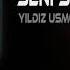 Seni Severdim Yıldız Usmonova Remix 2023 Sen Aşkı Anlamaz Bilmez