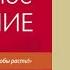 Аудиокнига Радикальное прощение Колин Типпинг