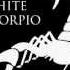 White Scorpio If You Think You Know How To Love Me Cover Of Smokie