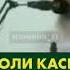 Думболи касе бош ки Думболи ту бошад ин гуна агар нест ба Думболи худат бош