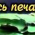 Здравствуй суббота Христианские караоке