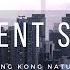 Relaxing Sounds On A Hill In Hong Kong Birds Rain Nature Ambience For Sleeping 4k ASMR