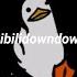 Sibilidowndown