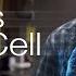 The Robot Repairmen Inside You Secrets Of The Cell Ep 9 Feat Biologist Michael Behe