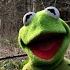 A Special Performance Of Rainbow Connection From Kermit The Frog The Muppets