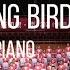 A Wandering Bird 寻路的鸟 2019 SSA Piano Xing PAN 潘行紫旻 English Sub