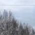 Amazing High Voltage Power Line Explosion Caught On Camera