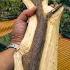 Agarwood Farming Agarwood Inoculation Process And Agarwood Incense Making Business