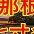 把他那根足足有七寸多長 江湖李白 X調查 Wayne調查 情感 情感故事 家庭倫理 婚姻 小说 故