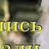 Я ВИДЕЛ АНГЕЛОВ СТАРЕЦ НИКОЛАЙ ГУРЬЯНОВ