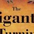 The Gigantic Turnip Read Aloud