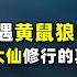 亲眼看见故宫里的黄鼠狼拜月 揭秘女首富陈丽华的奇遇 不可思议 明史观山