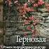 Уютная история от Мэри Стюарт Терновая обитель книги книжныйблог роман