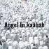 Angel In Kaaba Tips Subscribe Alibaba313 Views Trending Nature Shortvideo Foryou