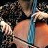 Samba De Janeiro Cello Cellist Cellomusic Cellocover Sambadejaneiro Fyp Foryoupage