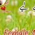 Female Quail Sound Madi Batair Ki Awaz2024 Madi Batair Ki Awaz2024