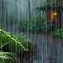 HEAVY RAIN AND THUNDER SOUNDS DEEP SLEEP Thunderstorm For Sleeping Rain Sound Comfort