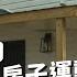 國外風行小房子運動 台灣微型住宅行得通 微型房屋的住宅解放 公視 獨立特派員 第763集 20220817