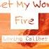 You Set My World On Fire Lyrics Loving Caliber