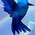 Blue Bird Feat Berioska Animelmack Naruto Shippuden Soundtrack