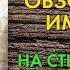 Патрик Ротфусс Имя ветра Обзор книги Новый любимый автор