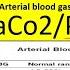 Abg Test Arterial Blood Gases Pao2 Paco2 O2 Saturation PH O2 Ct In Pashto