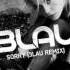 Justin Bieber Sorry 3LAU REMIX