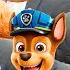 PAW PATROL MEGAMIX COFFIN DANCE ASTRONOMIA