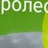 Уролесан лечение цистита профессор Деревянко Т И