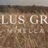 Le Plus Grand Mirella Lyrics Video