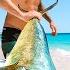 Giant Mahi Mahi Fish Catch And Cook