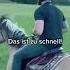 Typisch Nichtreiter Oder Riding Reitsport Reiten